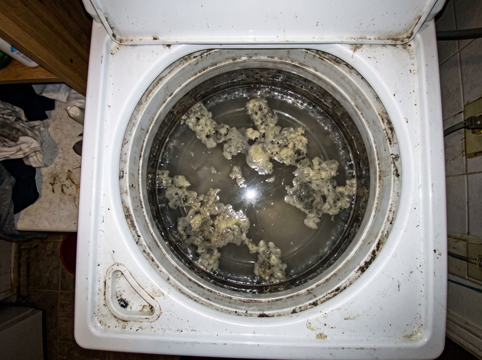 A borracha da minha máquina depois de a limpar